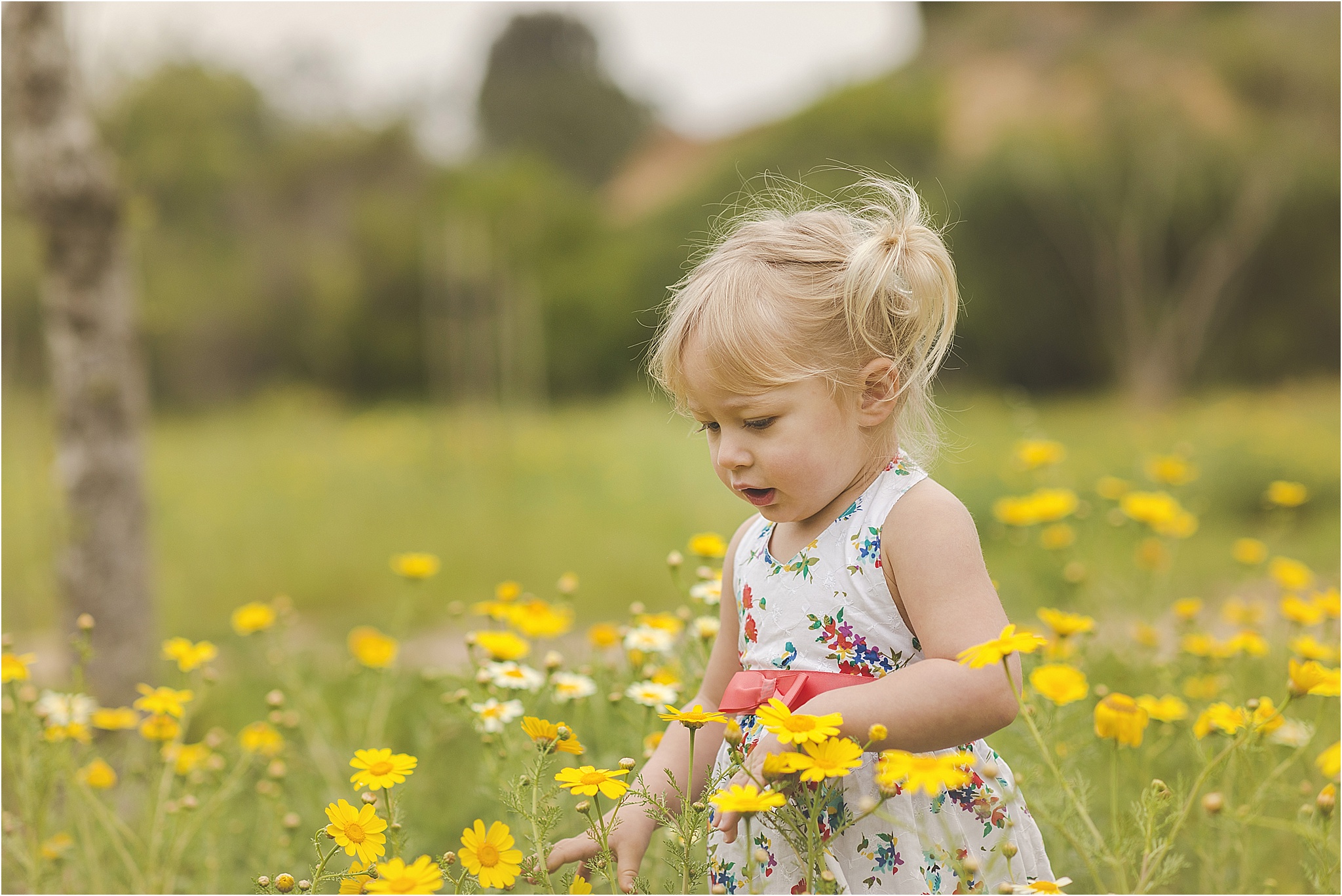 Wren Turns 2 | Newport Beach Photographer | Family Photographer